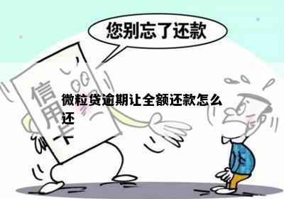 微粒贷逾期让全额还款怎么还