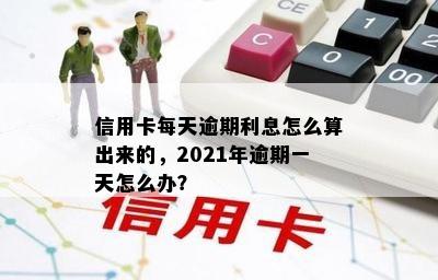 信用卡每天逾期利息怎么算出来的，2021年逾期一天怎么办？