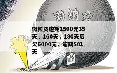 微粒贷逾期1500元35天，160天，180天后欠6000元，逾期501天