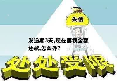 发逾期3天,现在要我全额还款,怎么办？