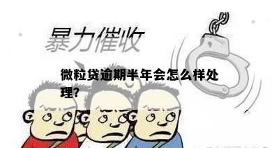 微粒贷逾期半年会怎么样处理？