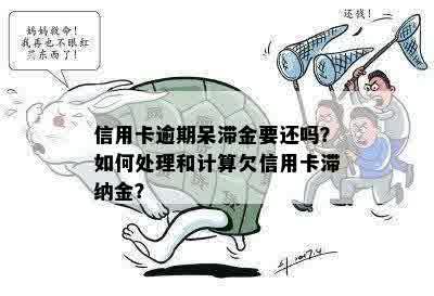 信用卡逾期呆滞金要还吗？如何处理和计算欠信用卡滞纳金？