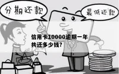 信用卡10000逾期一年共还多少钱?