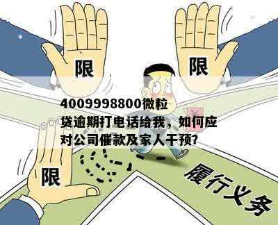 4009998800微粒贷逾期打电话给我，如何应对公司催款及家人干预？