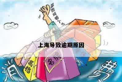 上海导致逾期原因