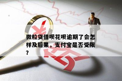 微粒贷借呗花呗逾期了会怎样及后果，支付宝是否受限？