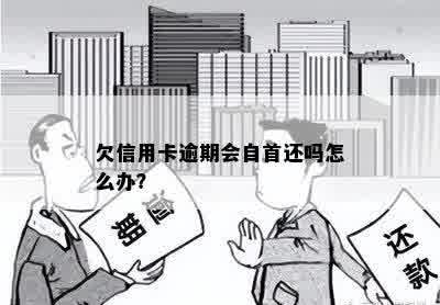 欠信用卡逾期会自首还吗怎么办？