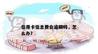 信用卡信息费会逾期吗，怎么办？