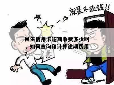 民生信用卡逾期收费多少啊，如何查询和计算逾期费用？