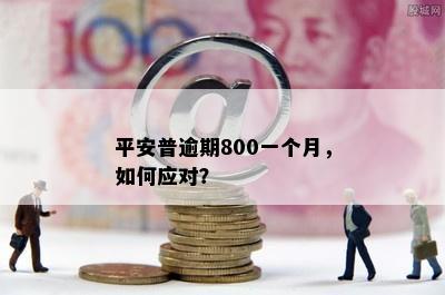 平安普逾期800一个月，如何应对？