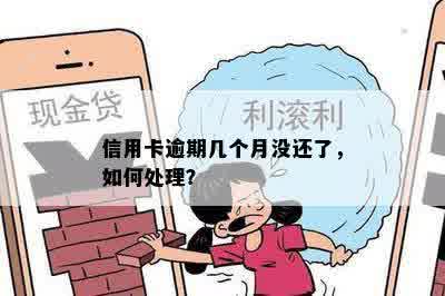 信用卡逾期几个月没还了，如何处理？