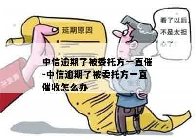 中信逾期了被委托方一直催-中信逾期了被委托方一直催收怎么办