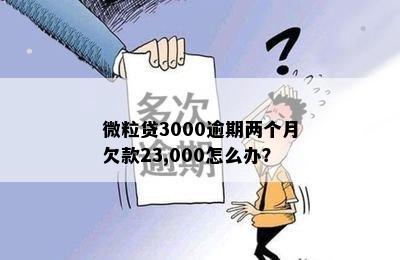 微粒贷3000逾期两个月欠款23,000怎么办？