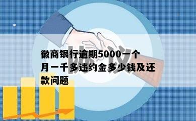 徽商银行逾期5000一个月一千多违约金多少钱及还款问题