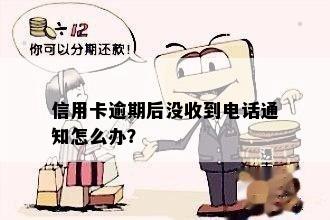 信用卡逾期后没收到电话通知怎么办？