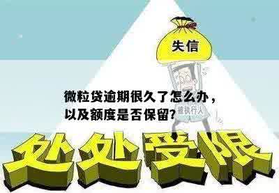 微粒贷逾期很久了怎么办，以及额度是否保留？