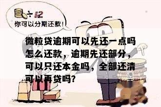 微粒贷逾期可以先还一点吗怎么还款，逾期先还部分，可以只还本金吗，全部还清可以再贷吗？