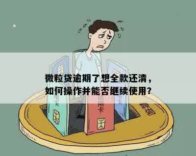 微粒贷逾期了想全款还清，如何操作并能否继续使用？