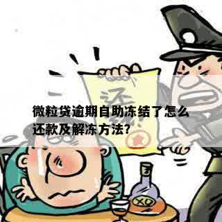 微粒贷逾期自助冻结了怎么还款及解冻方法？