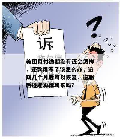 美团月付逾期没有还会怎样，还款用不了该怎么办，逾期几个月后可以恢复，逾期后还能再借出来吗？