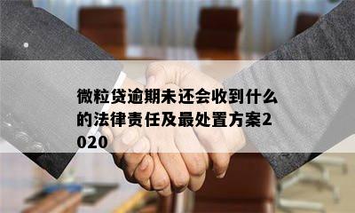 微粒贷逾期未还会收到什么的法律责任及最处置方案2020