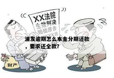 浦发逾期怎么本金分期还款，要求还全款？