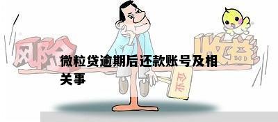 微粒贷逾期后还款账号及相关事