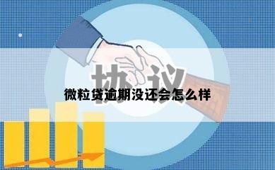 微粒贷逾期没还会怎么样