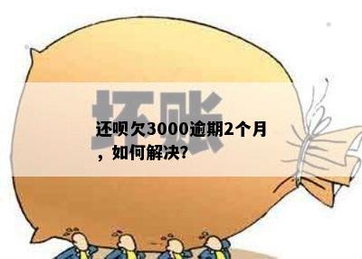 还呗欠3000逾期2个月，如何解决？