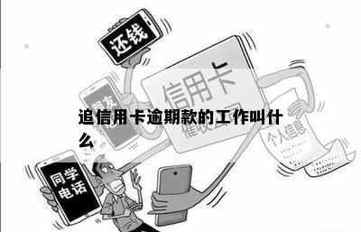 追信用卡逾期款的工作叫什么