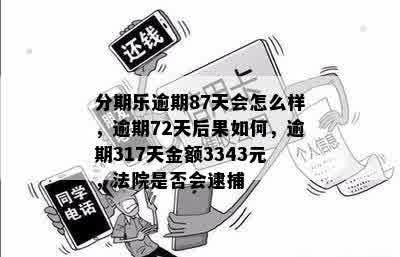 分期乐逾期87天会怎么样，逾期72天后果如何，逾期317天金额3343元，法院是否会逮捕