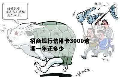 招商银行信用卡3000逾期一年还多少