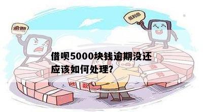 借呗5000块钱逾期没还应该如何处理？