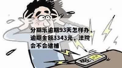 分期乐逾期93天怎样办，逾期金额3343元，法院会不会逮捕