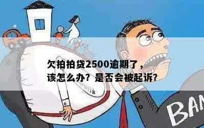 欠拍拍贷2500逾期了，该怎么办？是否会被起诉？