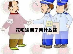 花呗逾期了用什么还