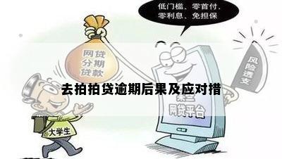 去拍拍贷逾期后果及应对措