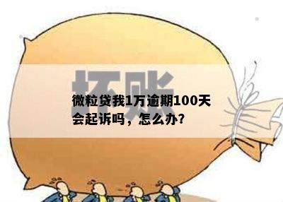 微粒贷我1万逾期100天会起诉吗，怎么办？