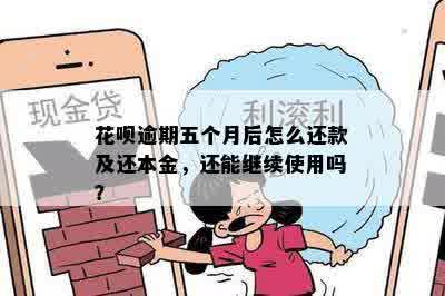 花呗逾期五个月后怎么还款及还本金，还能继续使用吗？