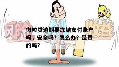 微粒贷逾期要冻结支付账户吗，安全吗？怎么办？是真的吗？