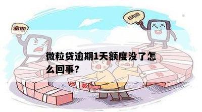 微粒贷逾期1天额度没了怎么回事?