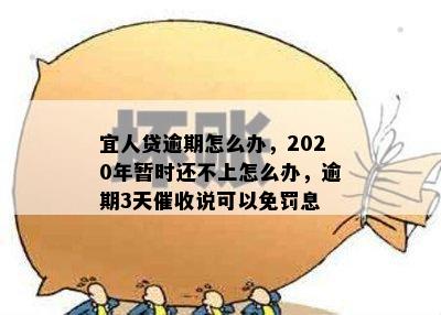 宜人贷逾期怎么办，2020年暂时还不上怎么办，逾期3天催收说可以免罚息