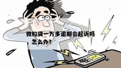 微粒贷一万多逾期会起诉吗，怎么办？