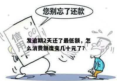 发逾期2天还了更低额，怎么消费额度变几十元了？