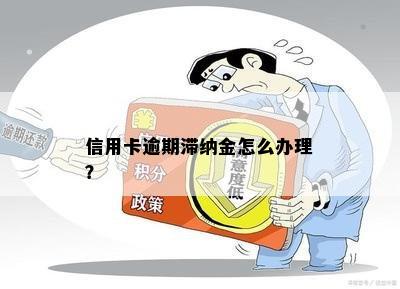 信用卡逾期滞纳金怎么办理？