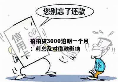 拍拍贷3000逾期一个月：利息及对借款影响