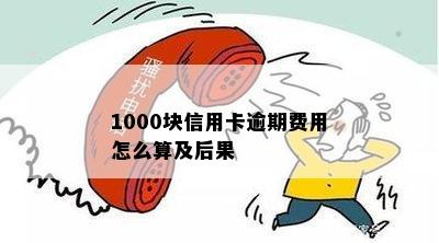 1000块信用卡逾期费用怎么算及后果