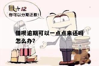 借呗逾期可以一点点来还吗怎么办？