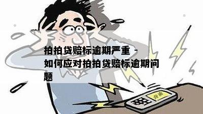 拍拍贷赔标逾期严重 - 如何应对拍拍贷赔标逾期问题