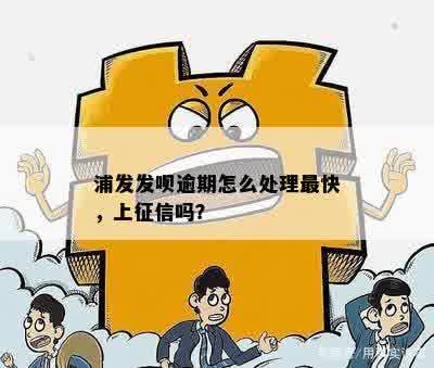 浦发发呗逾期怎么处理最快，上征信吗？